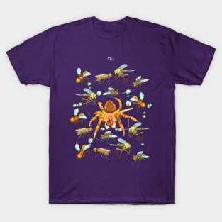 Web of flies and spider T-Shirt